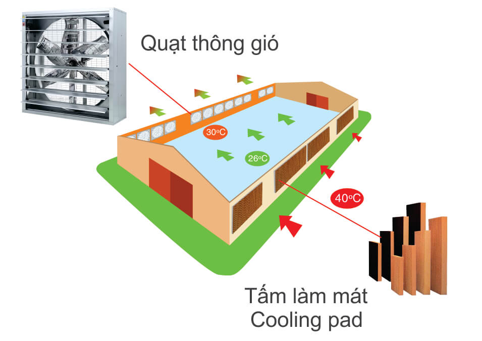 Mô hình ứng dụng quạt thông gió công nghiệp iFan/A