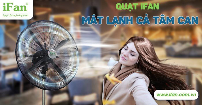 Quạt hoạt động bằng nguồn điện áp 220V thông dụng